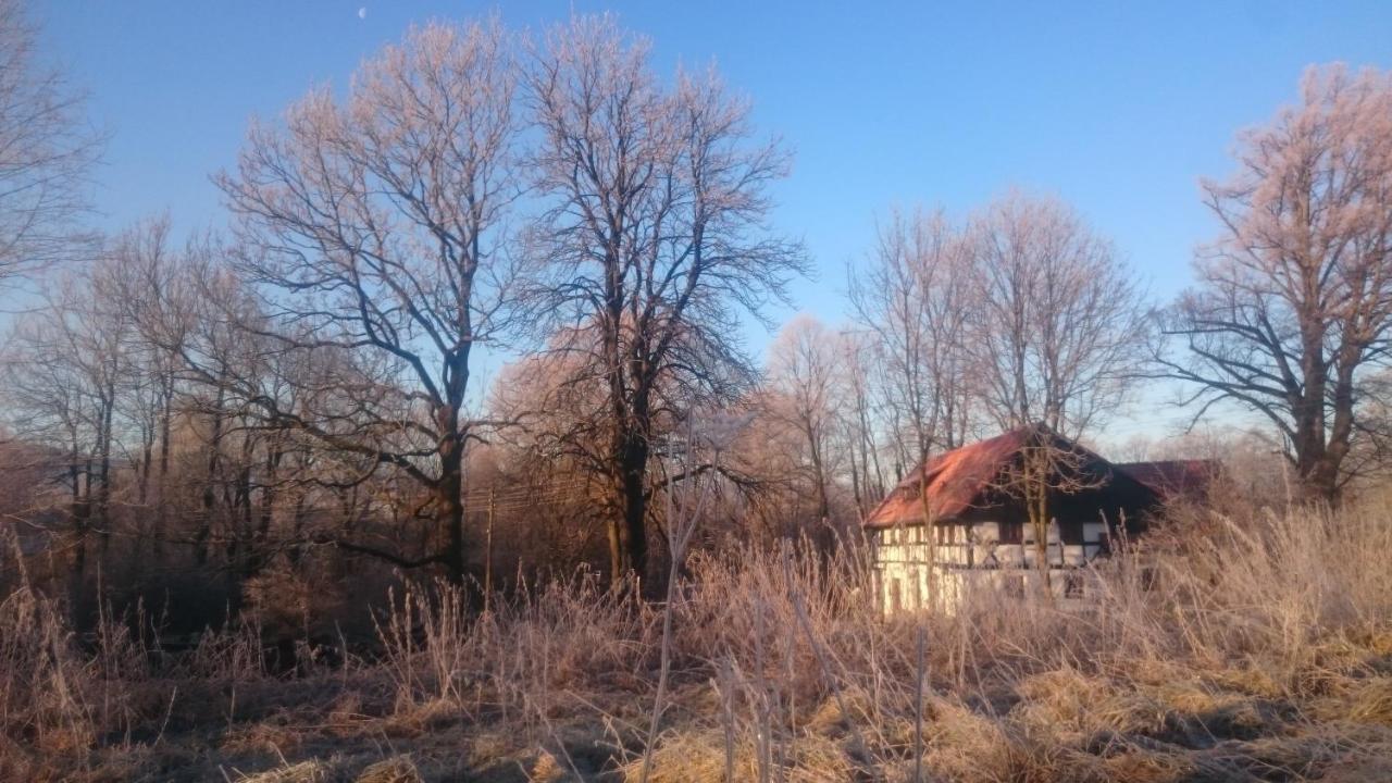 Rebiszow 50 Villa Exterior photo